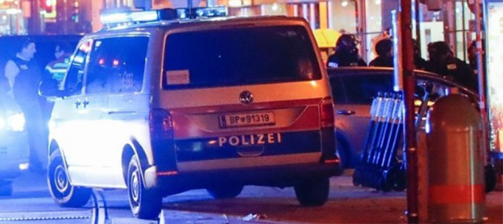 Viyana'da Kadın Cinayetleri Dehşeti: Yankılar Sürüyor