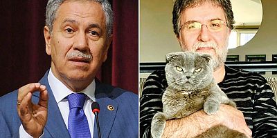 Ahmet Hakan’dan, Bülent Arınç'a kedisinin ağzından yanıt: O engin ferasetiyle, o muhteşem basiretiyle, o meşhur uyanıklığıyla