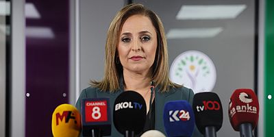 DEM Parti Sözcüsü Doğan: