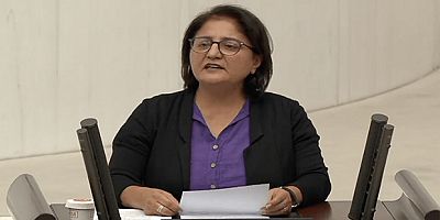 Dersim’in Deşt, Düz Pelit, Karşılar, Altınyüzük ve Eğri Yamaç Köylerindeki Kriz Meclis Gündeminde – Ayten Kordu Bakanlara 20 Maddelik Soru Önergesi Verdi