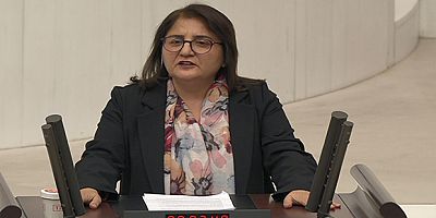 Dersim Milletvekili Ayten Kordu’dan Pülümür’deki Rüzgâr Enerji Santraline Tepki: “Ekolojik Felakete Davetiye!”