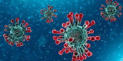 Dünya Sağlık Örgütü, Yeni Gelişmekte Olan Virüs Hakkında Uyarıda Bulundu