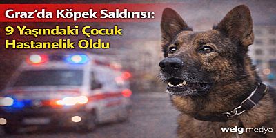 Graz’da Köpek Saldırısı: 9 Yaşındaki Çocuk Hastanelik Oldu