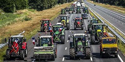 Hollandalı çiftçiler hükumete tepki için yolları kapattı