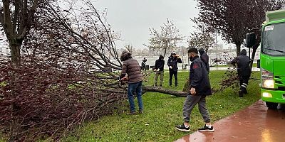 “İstanbul’da fırtına kaynaklı 327 çatı uçtu, 1517 ağaç devrildi”
