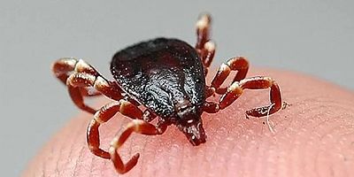 Kayseri Tomarza’da KKKA şüphesiyle tedavi gören kişi hayatını kaybetti