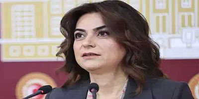 Koçyiğit’ten İmralı Açıklaması – “Ziyaret Gayet İyi, Olumlu Ve Pozitif Geçti”