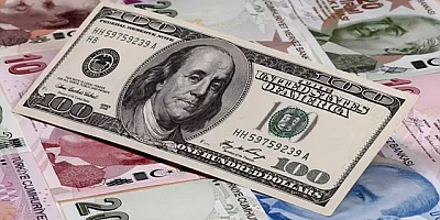 Reuters: Dolar TL konusunda uyardı 