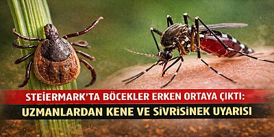 Steiermark’ta Böcekler Erken Ortaya Çıktı: Uzmanlardan Kene ve Sivrisinek Uyarısı
