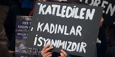 Türkiye’de 2023’ün ilk 8 ayında 271 kadın katledildi