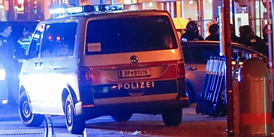Viyana'da Kadın Cinayetleri Dehşeti: Yankılar Sürüyor